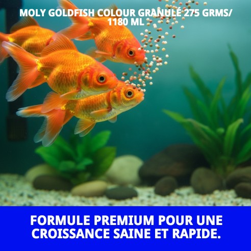 Moly Goldfish Color Granulé 275g - Nourriture pour Poissons