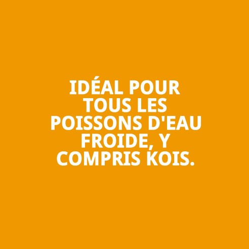 Nourriture Granulée Moly Goldfish Color 30g pour Poissons