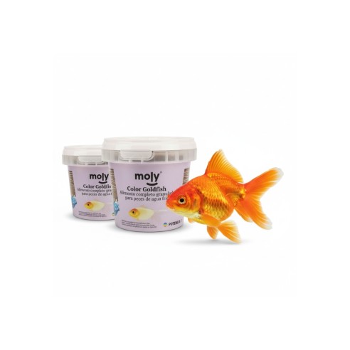 Moly Goldfish Color 75g : Nourriture pour poissons vibrants