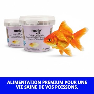 Moly Goldfish Color 75g : Nourriture pour poissons vibrants 2