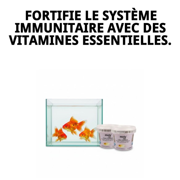 Moly Goldfish Color 75g : Nourriture pour poissons vibrants