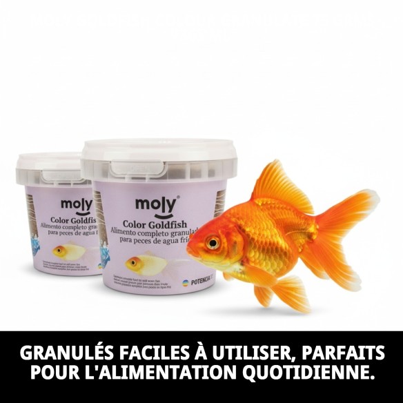 Moly Goldfish Color 75g : Nourriture pour poissons vibrants