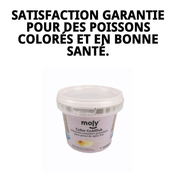 Moly Goldfish Color 75g : Nourriture pour poissons vibrants
