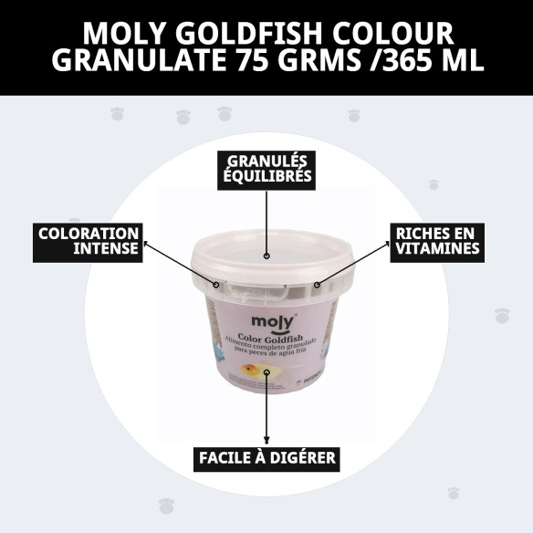 Moly Goldfish Color 75g : Nourriture pour poissons vibrants