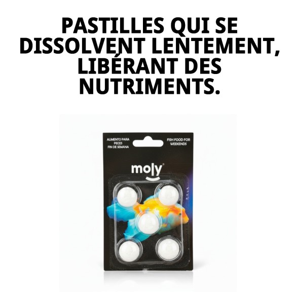 MOLY Bâtonnets de Fin de Semaine: Nourriture Idéale pour les Poissons
