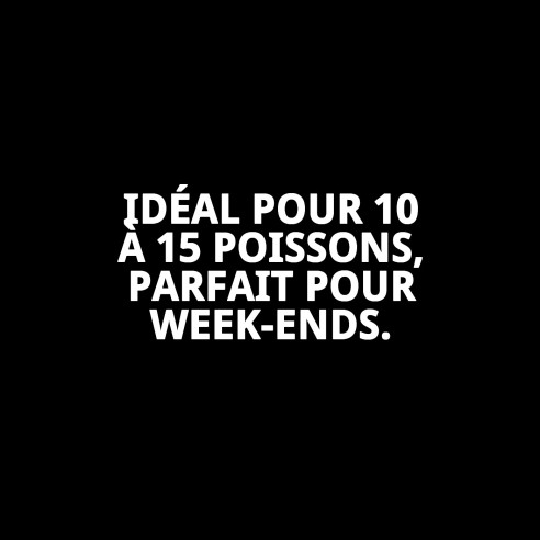 MOLY Bâtonnets de Fin de Semaine: Nourriture Idéale pour les Poissons