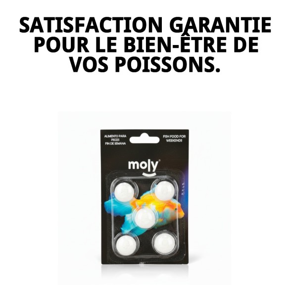 MOLY Bâtonnets de Fin de Semaine: Nourriture Idéale pour les Poissons