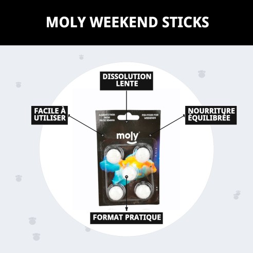 MOLY Bâtonnets de Fin de Semaine: Nourriture Idéale pour les Poissons