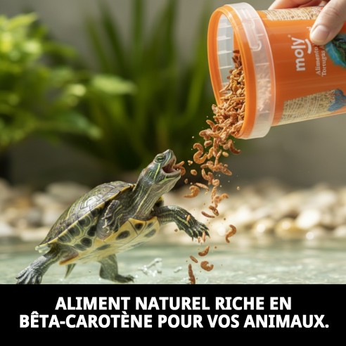Nourriture Gammarus pour tortues et poissons - 125 gr 1180 ML