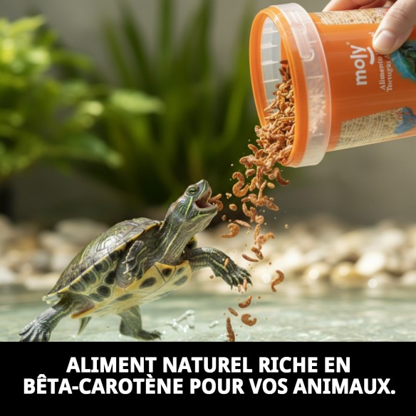Nourriture Gammarus pour tortues et poissons - 125 gr 1180 ML