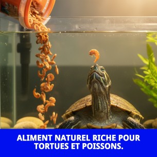 Nourriture Gammarus pour tortues et poissons - 15g 120ml 2