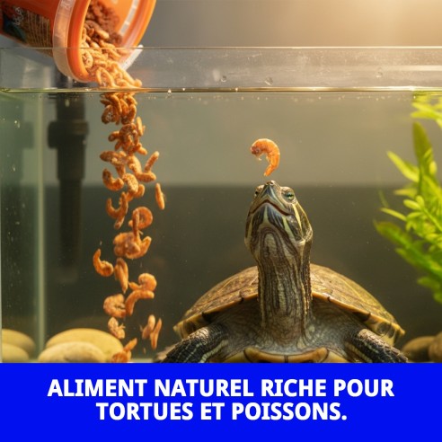 Nourriture Gammarus pour tortues et poissons - 15g 120ml