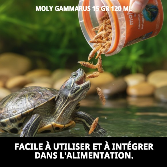 Nourriture Gammarus pour tortues et poissons - 15g 120ml