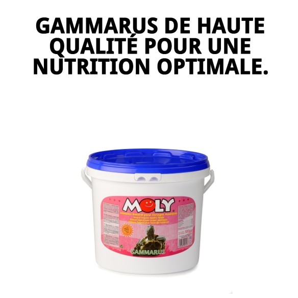 MOLY GAMMARUS 500g : Nutrition naturelle pour tortues et poissons