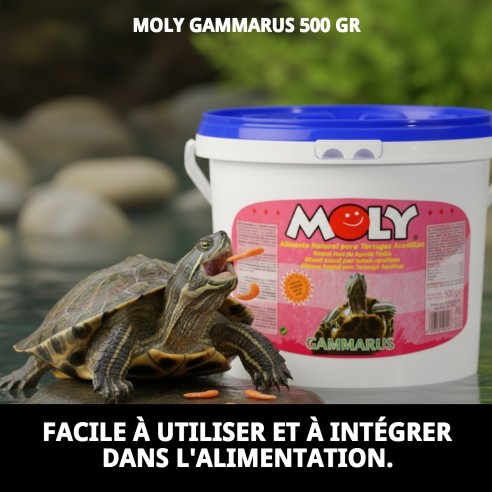 MOLY GAMMARUS 500g : Nutrition naturelle pour tortues et poissons