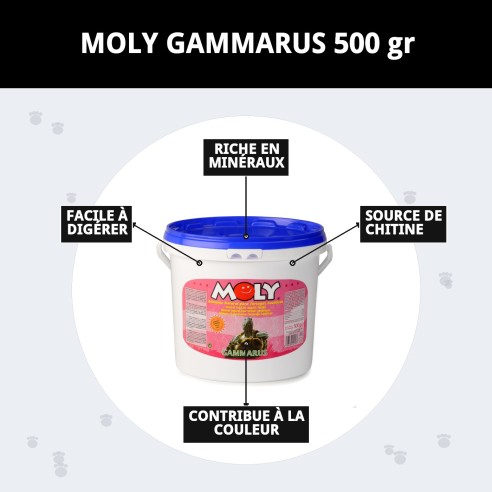 MOLY GAMMARUS 500g : Nutrition naturelle pour tortues et poissons
