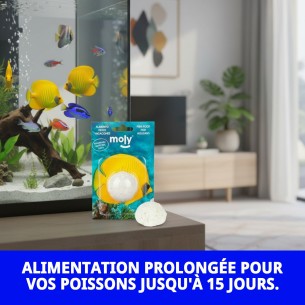 Moly Bâtonnet de Vacances : Nourriture Idéale pour Poissons pendant les Vacances 2