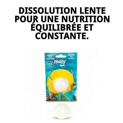 Moly Bâtonnet de Vacances : Nourriture Idéale pour Poissons pendant les Vacances