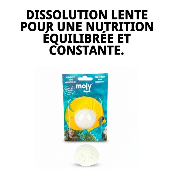 Moly Bâtonnet de Vacances : Nourriture Idéale pour Poissons pendant les Vacances