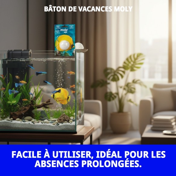Moly Bâtonnet de Vacances : Nourriture Idéale pour Poissons pendant les Vacances