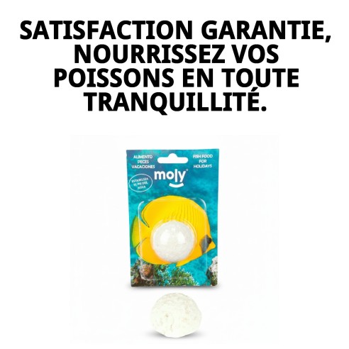 Moly Bâtonnet de Vacances : Nourriture Idéale pour Poissons pendant les Vacances