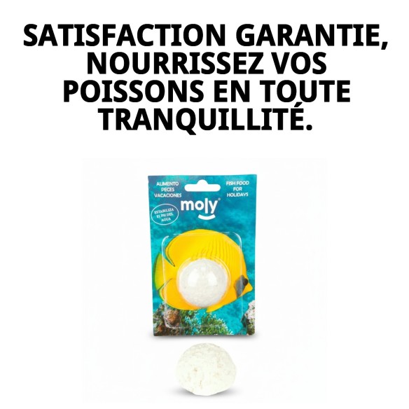 Moly Bâtonnet de Vacances : Nourriture Idéale pour Poissons pendant les Vacances