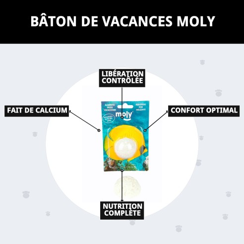 Moly Bâtonnet de Vacances : Nourriture Idéale pour Poissons pendant les Vacances