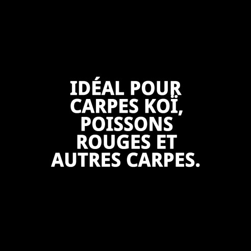 Moly Étang Bâtonnets 4 kg: Nourriture Professionnelle pour Poissons