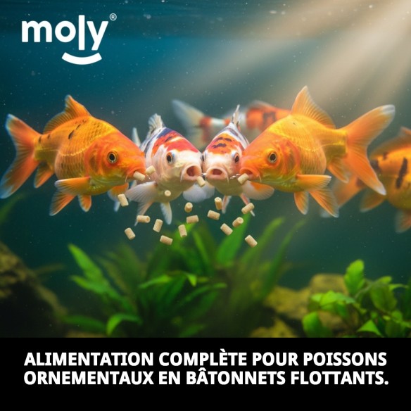 Bâtonnets Moly Pond 85g - Nourriture Idéale pour les Poissons Koi
