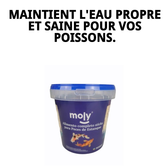 Bâtonnets Moly Pond 85g - Nourriture Idéale pour les Poissons Koi