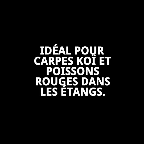 Bâtonnets Moly Pond 85g - Nourriture Idéale pour les Poissons Koi