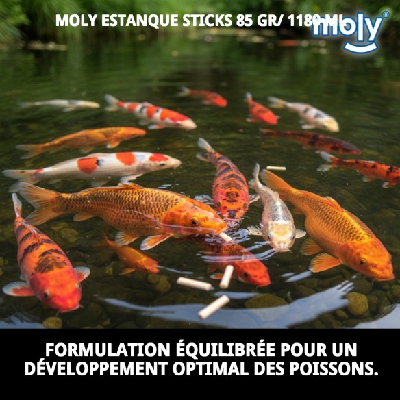 Bâtonnets Moly Pond 85g - Nourriture Idéale pour les Poissons Koi