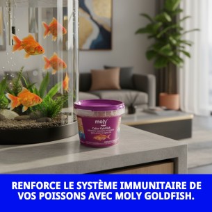 Moly Goldfish 20g: Nourriture Premium pour Poissons d'Aquarium 2