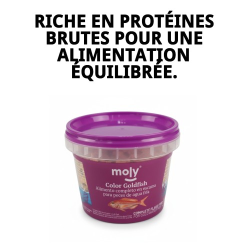 Moly Goldfish 20g: Nourriture Premium pour Poissons d'Aquarium