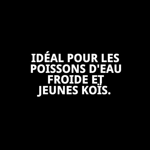 Moly Goldfish 20g: Nourriture Premium pour Poissons d'Aquarium