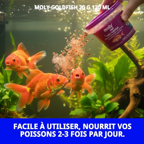 Moly Goldfish 20g: Nourriture Premium pour Poissons d'Aquarium
