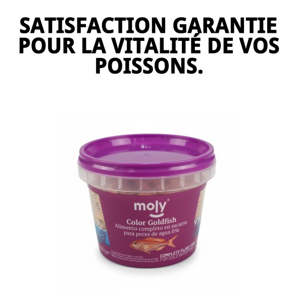 Moly Goldfish 20g: Nourriture Premium pour Poissons d'Aquarium