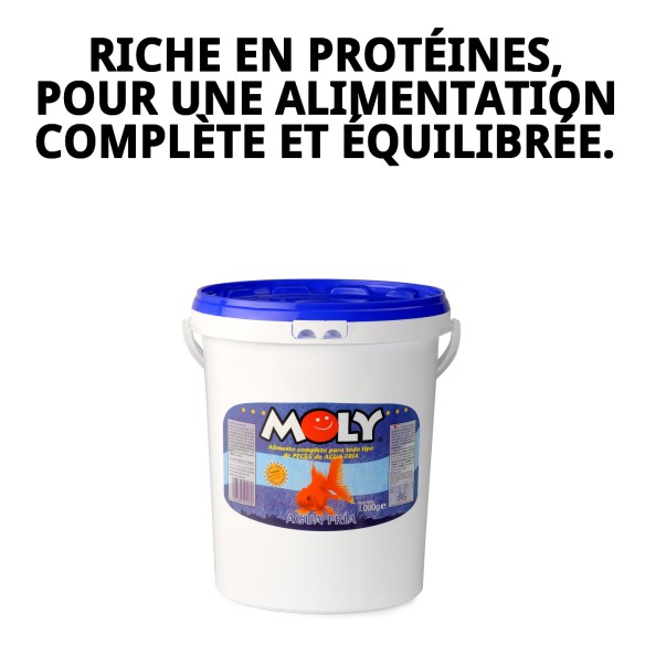 Moly Goldfish Color 1 kg : Rehausse la couleur de vos poissons