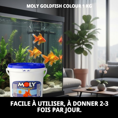 Moly Goldfish Color 1 kg : Rehausse la couleur de vos poissons