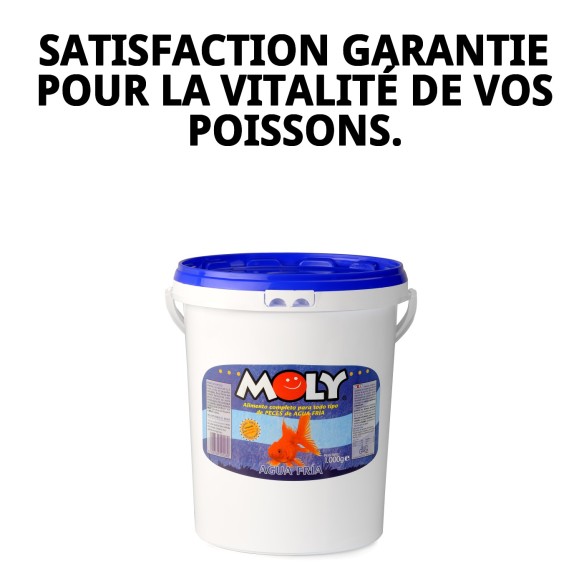Moly Goldfish Color 1 kg : Rehausse la couleur de vos poissons