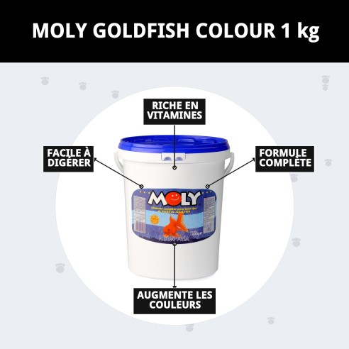 Moly Goldfish Color 1 kg : Rehausse la couleur de vos poissons