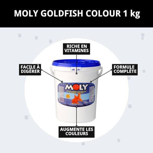 Moly Goldfish Color 1 kg : Rehausse la couleur de vos poissons