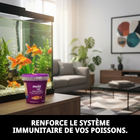 Nourriture Moly Goldfish Color 200g pour des poissons vibrants