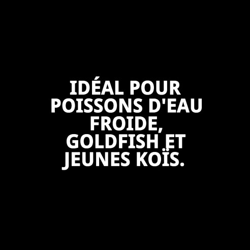 Nourriture Moly Goldfish Color 200g pour des poissons vibrants