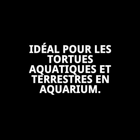 Nourriture Moly Menu Tortues 40g pour une santé et une croissance optimales