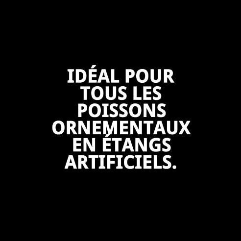 Nourriture Moly Super-Menu Étang pour poissons 140g 1180ml