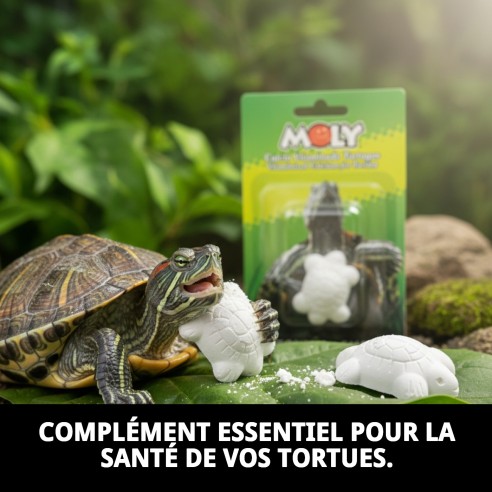 Moly Calcium pour Petites Tortues - Alimentation Idéale