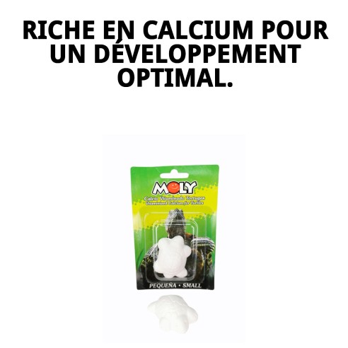 Moly Calcium pour Petites Tortues - Alimentation Idéale