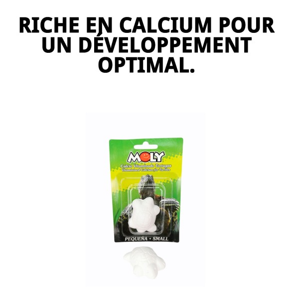 Moly Calcium pour Petites Tortues - Alimentation Idéale