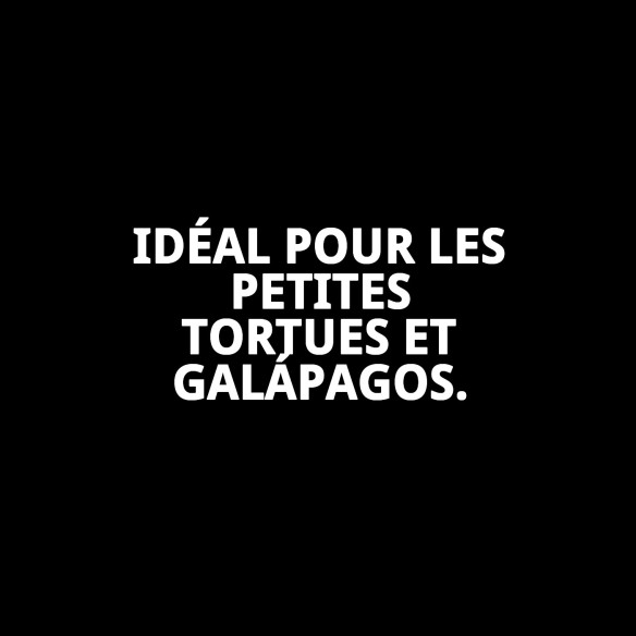 Moly Calcium pour Petites Tortues - Alimentation Idéale